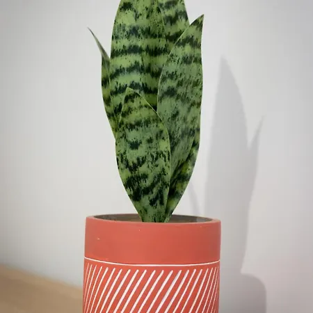 Hébergement de vacances Trixie Jolie Maison Avec Jardin *