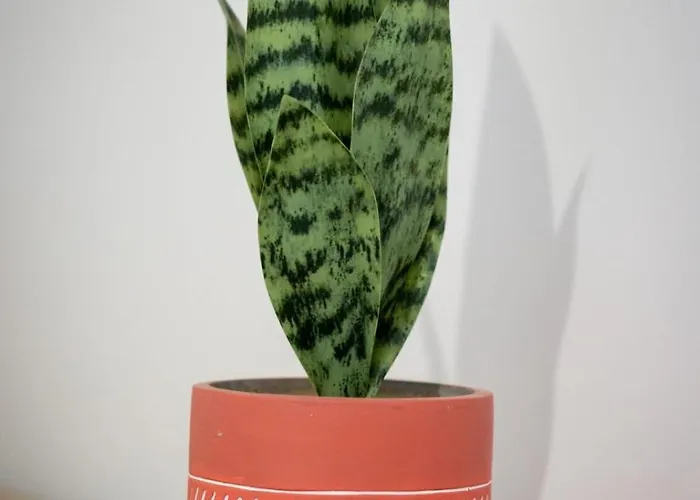 Holiday home Trixie Jolie Maison Avec Jardin *